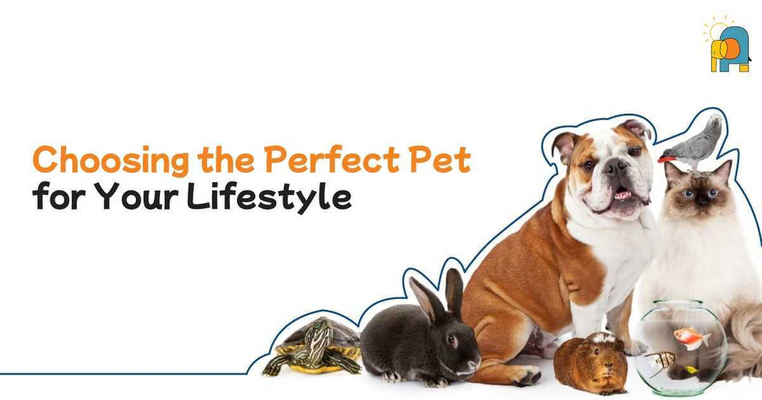 Choosing the Perfect Pet for Your Lifestyle