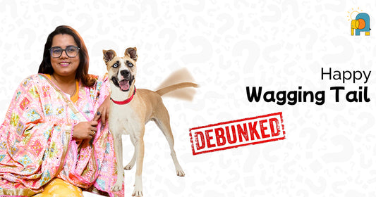 Happy Wagging Tails: ing Common Pet MythsDebunk