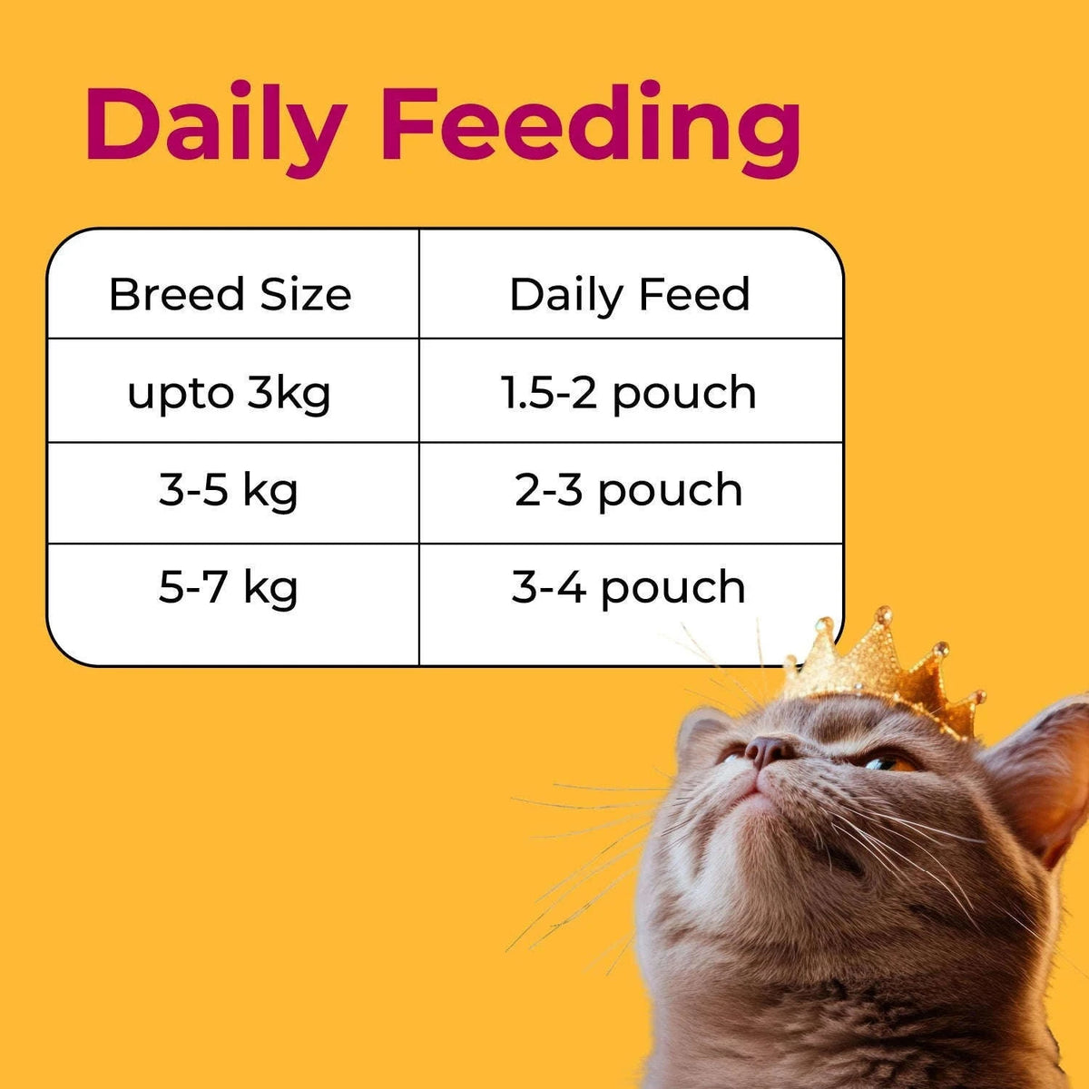 Purrkins Summer Combo – 15-Pack Wet Cat Food & Broths Pets of Paradise