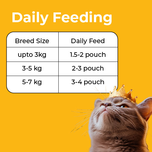 Cat Collection - Trial Pack