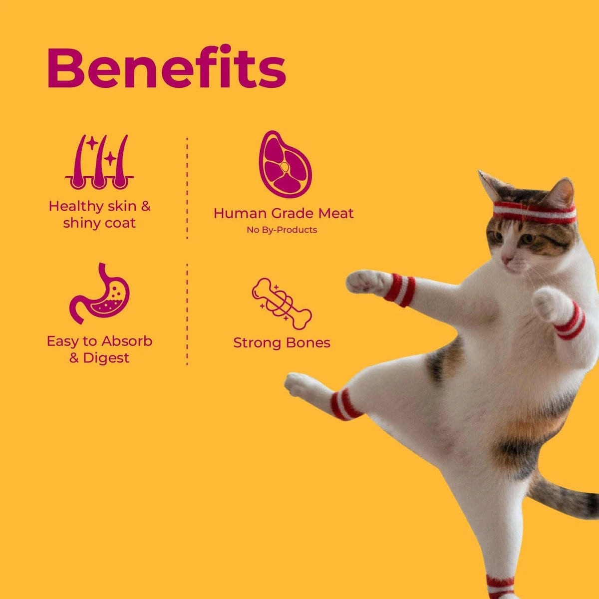 Fish Adult Cat Combo (Pack of 15) + FREE BOWL Pets of Paradise