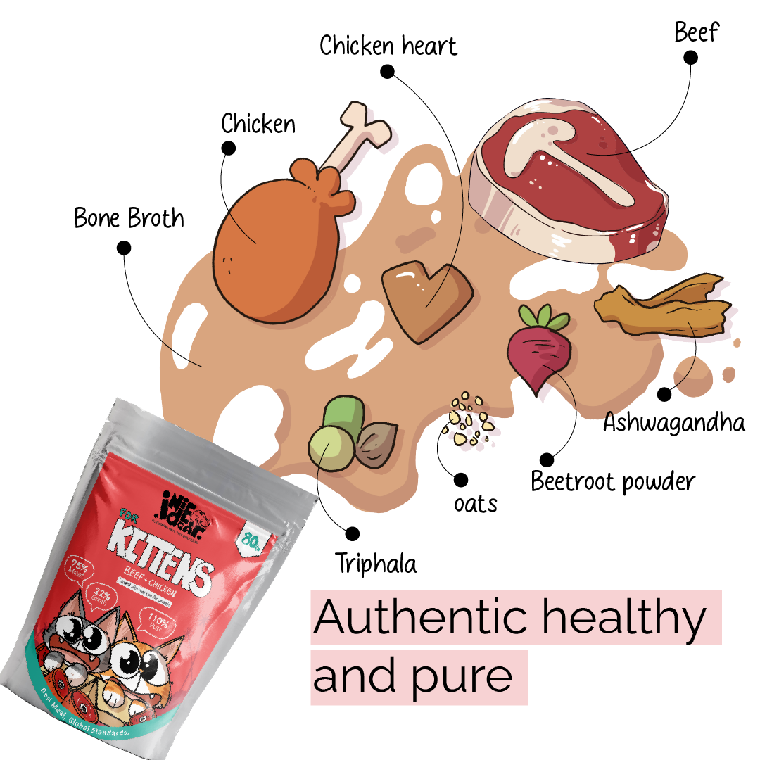 IndieCat Kitten Beef & Chicken (80g Packs)