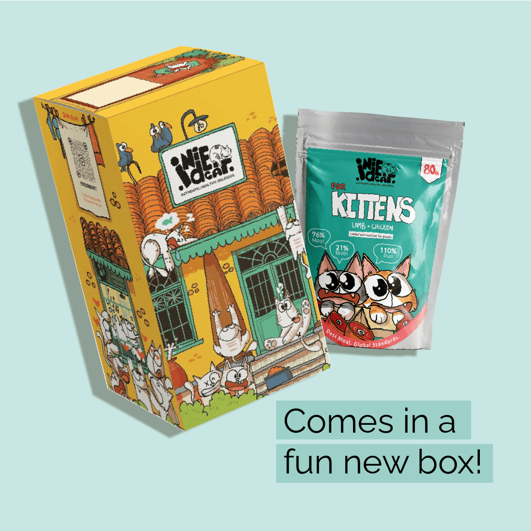 Purrkins x IndieCat for Kittens – Lamb & Chicken (80g Packs) Pets of Paradise