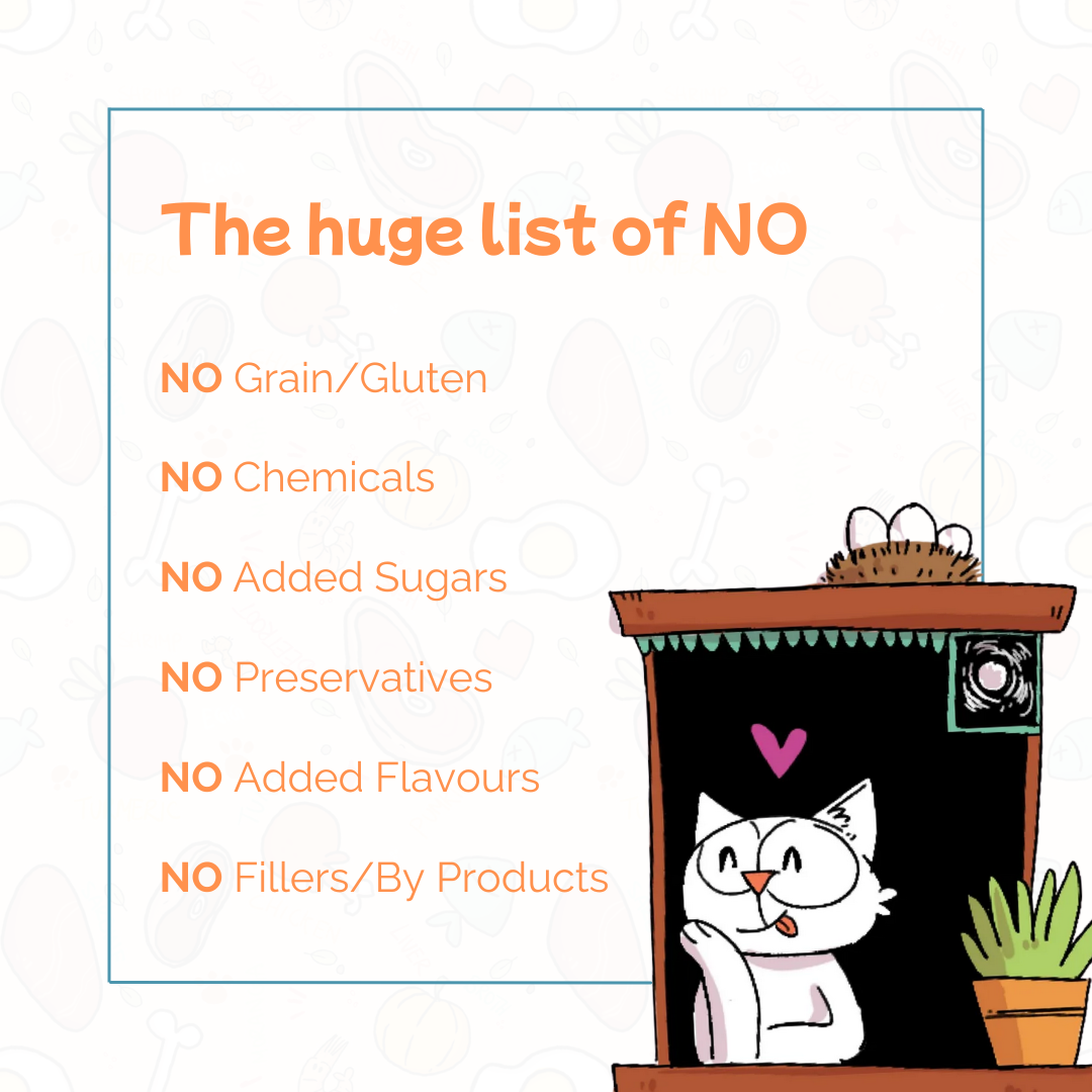 IndieCat Trial Variety Pack – All Flavours (80 gm x 6)