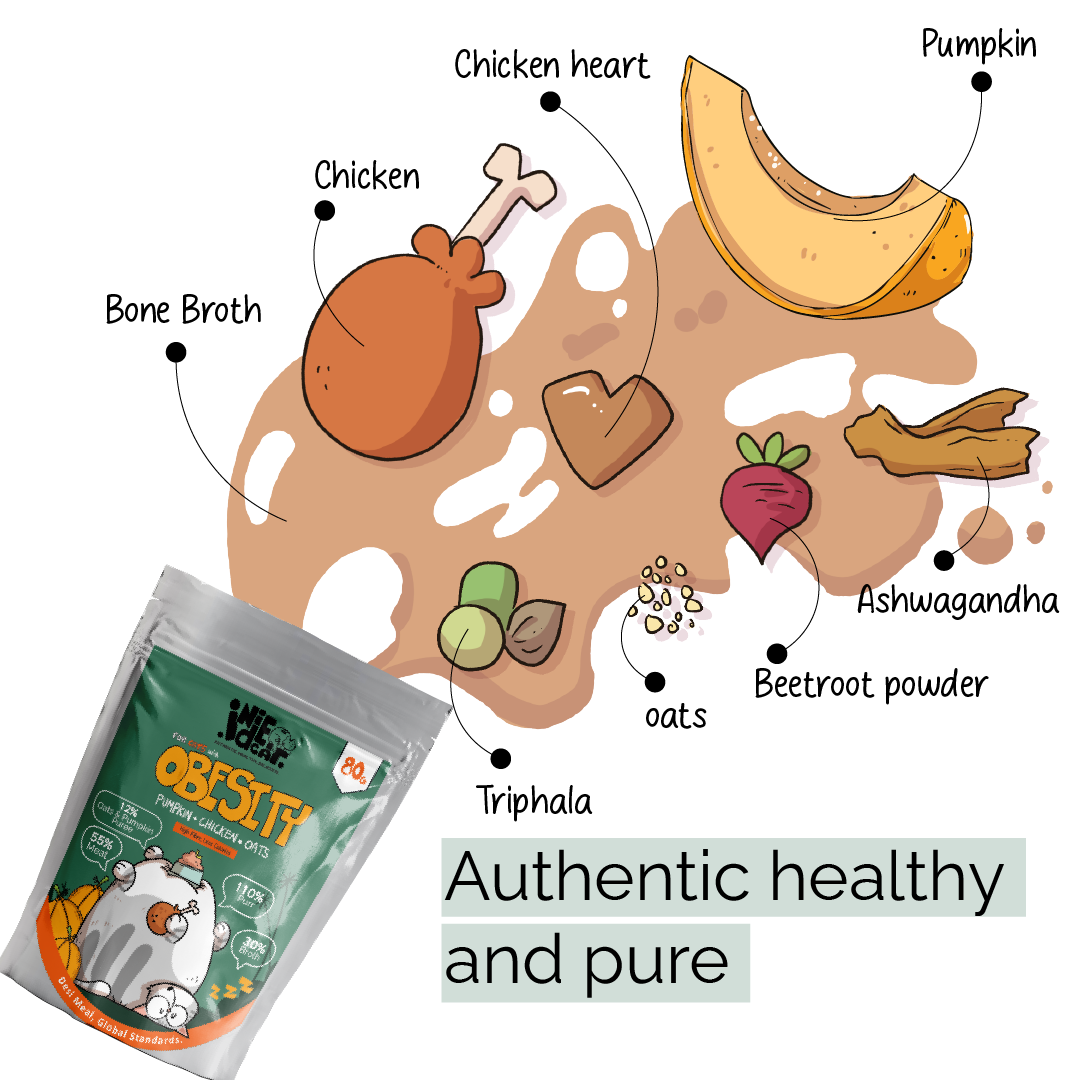 IndieCat Obesity Chicken Pumpkin (80g Packs)