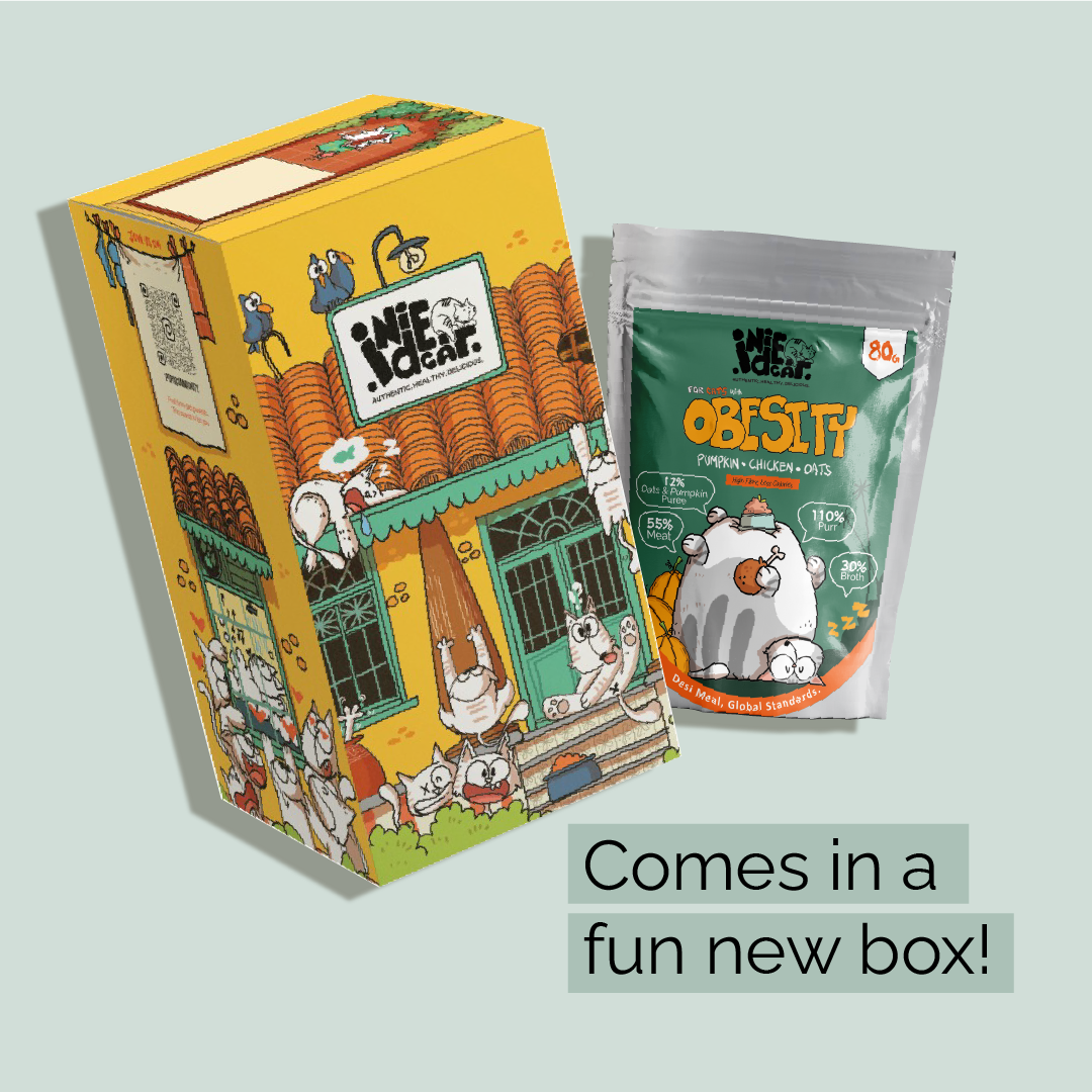 IndieCat Obesity Chicken Pumpkin (80g Packs)