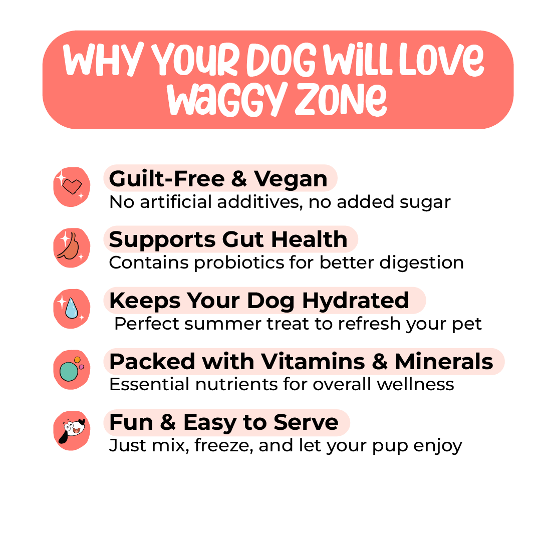 Waggy Zone Natural Doggy Ice Cream - Banberry (Pack of 3)