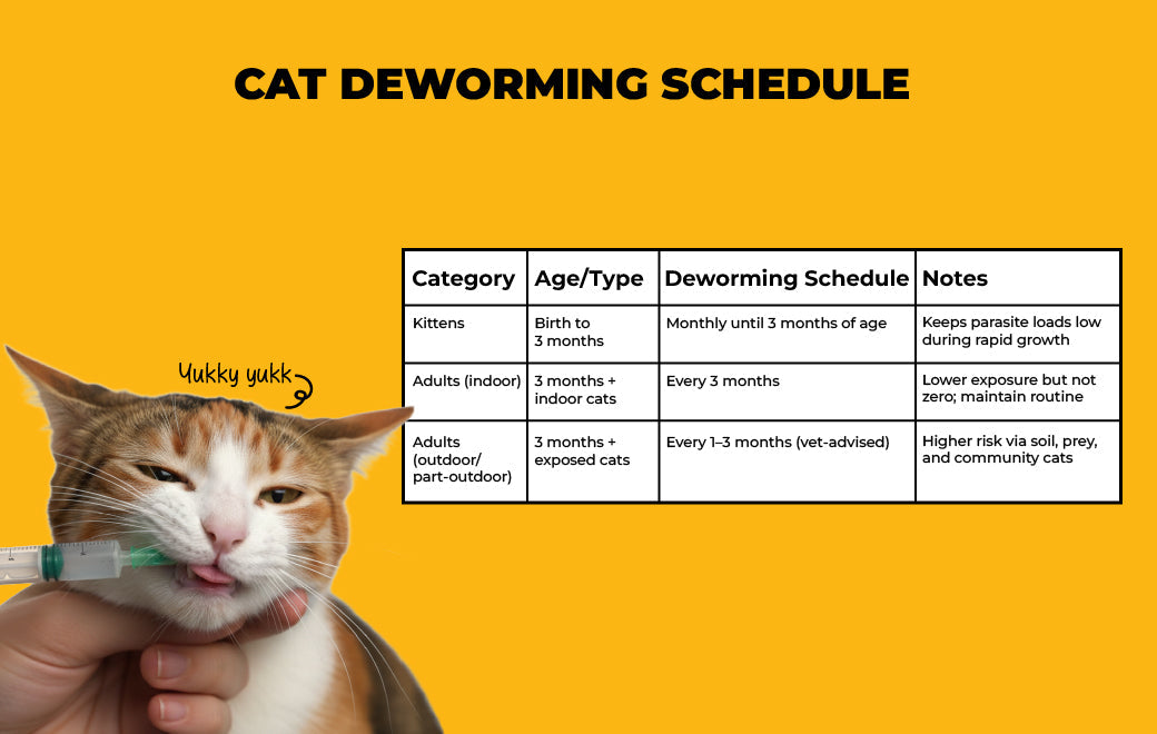 Cat Vaccination and Deworming Schedule in India