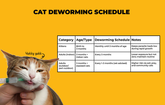 Cat Vaccination and Deworming Schedule in India