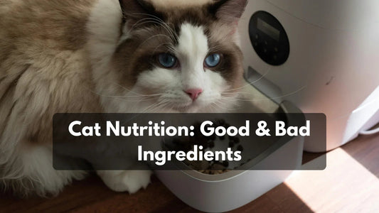 Indie Cat Food & Nutrition: Good and Bad Ingredients Pets of Paradise