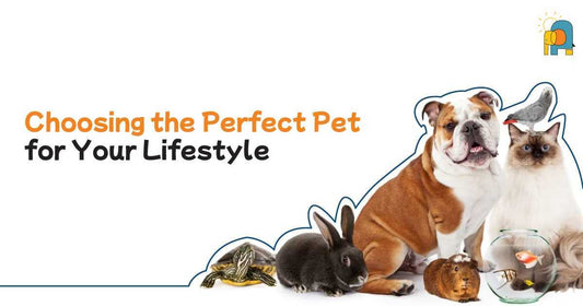 Choosing the Perfect Pet for Your Lifestyle