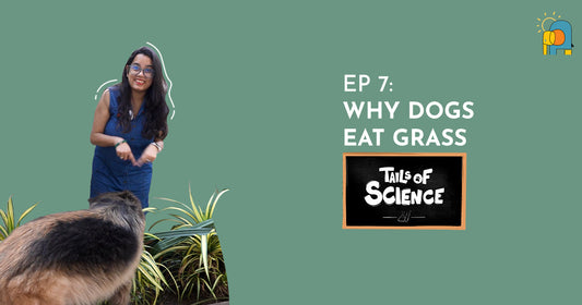 EP7: Why Dogs eat Grass - Tails of Science