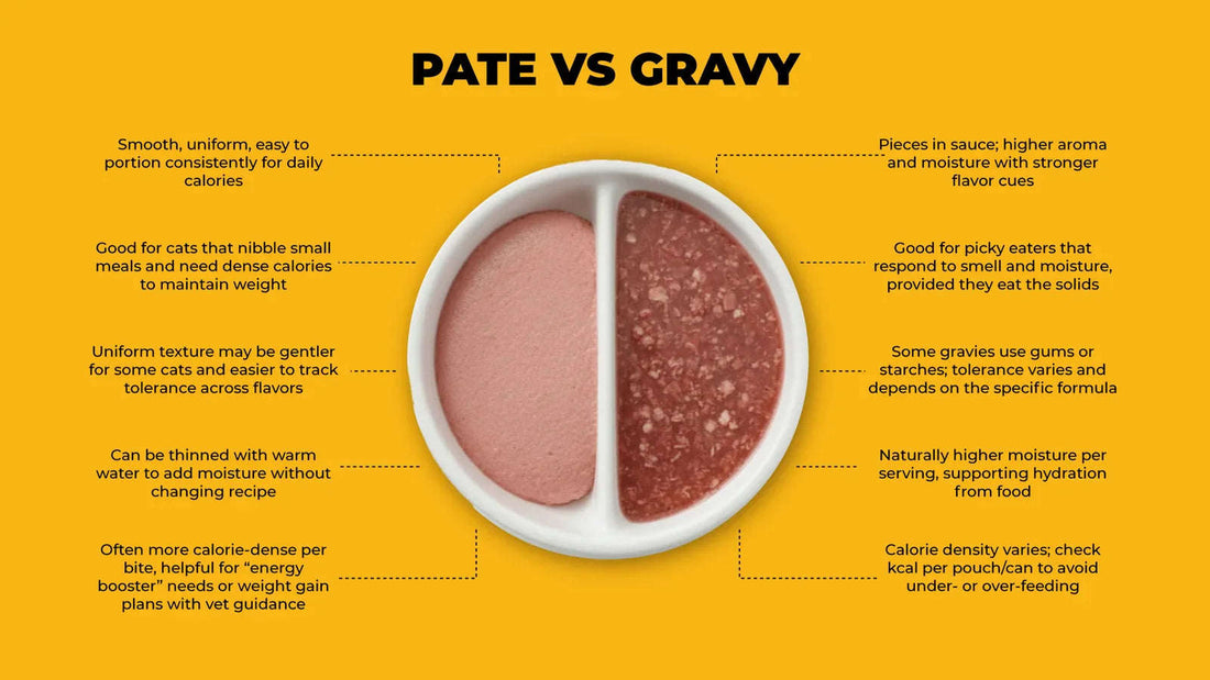 Cat Food Textures: Pate vs Gravy for Appetite, Digestion, Energy Pets of Paradise