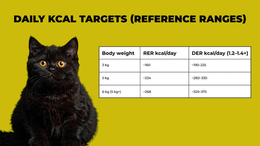 How to Read Cat Food Labels, Set Portions, and Pick Meals Pets of Paradise