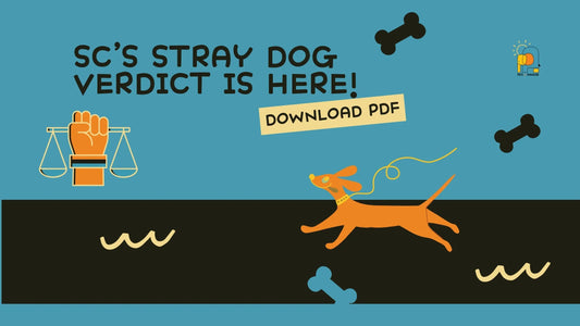 SC Stray Dog Verdict Balances Safety and Compassion [Download Judgment PDF] - Pets of Paradise