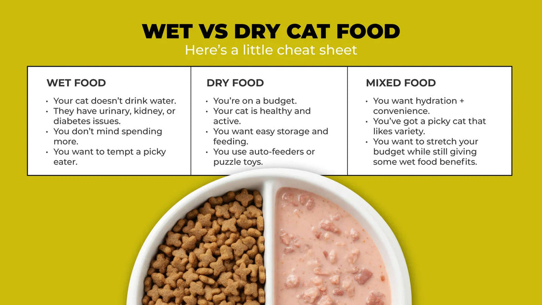 Wet vs Dry Cat Food: The Complete Guide Pets of Paradise