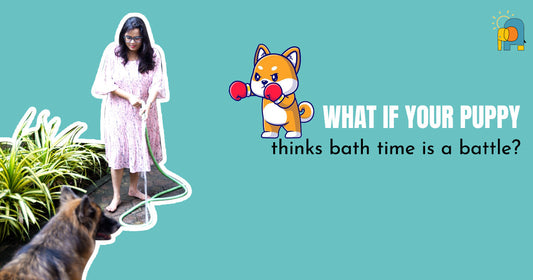 What If Your Puppy Thinks Bath Time Is a Battle?