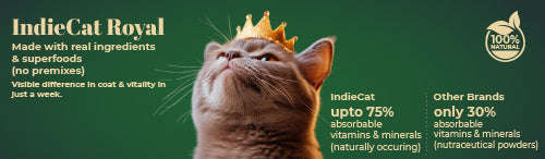 www.petsofparadise.store Pets of Paradise