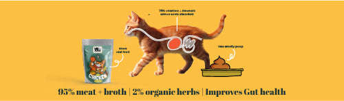 www.petsofparadise.store Pets of Paradise