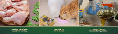 www.petsofparadise.store Pets of Paradise