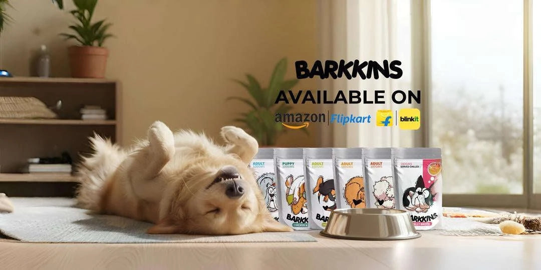 www.petsofparadise.store Pets of Paradise