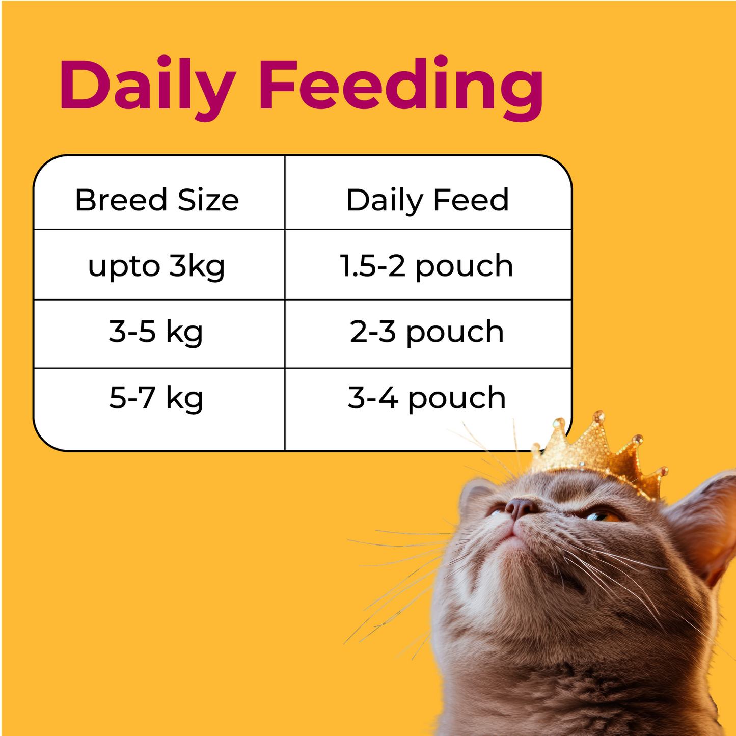 Adult Cat Combo (Pack of 15) + FREE BOWL
