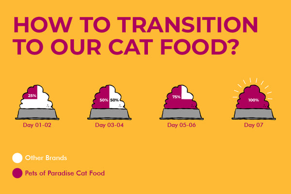 How to Feed