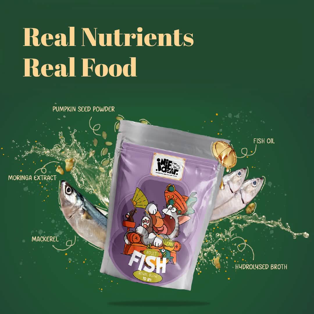 Indiecat Adult Fish Royal Glow (70g packs)
