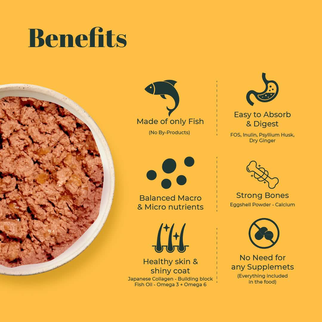 Indiecat Adult Fish Royal Glow (70g packs)