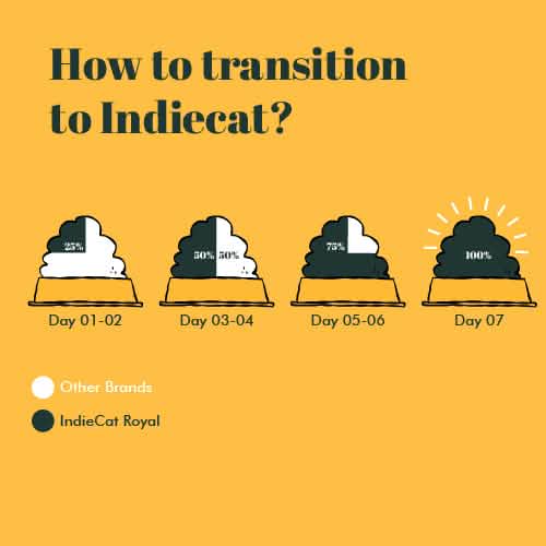 Indiecat Adult Chicken Royal Glow (80g packs)