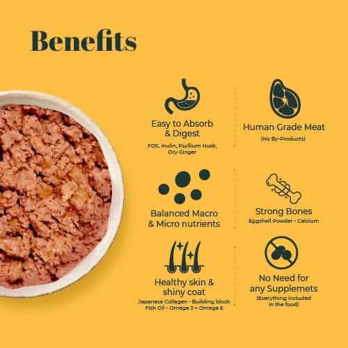 Indiecat Adult Chicken Royal Glow (80g packs)