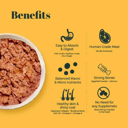 Indiecat Adult Chicken Royal Glow (80g packs)