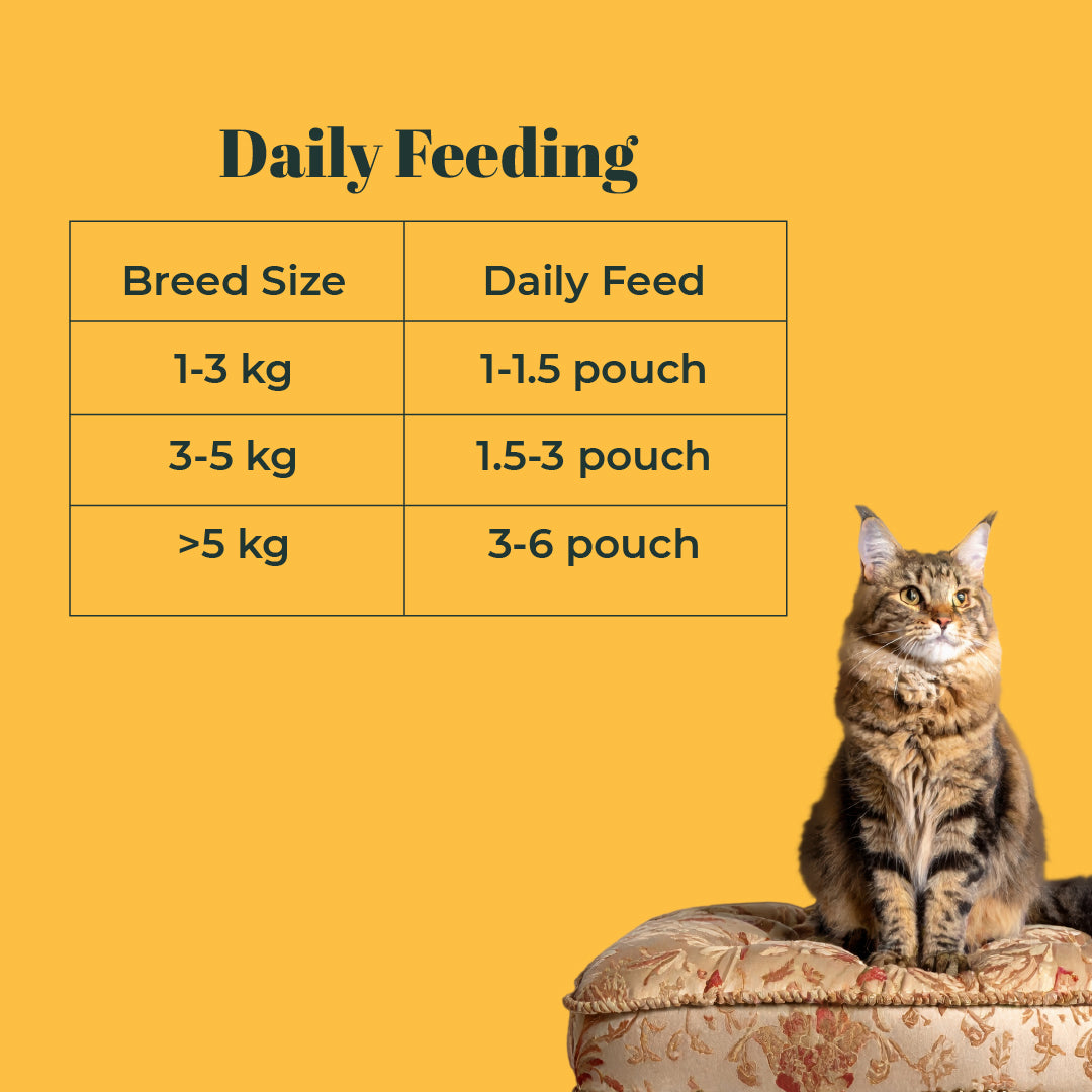 Indiecat Adult Chicken & Liver Royal Pate (80g Packs)