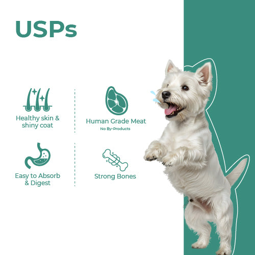 Barkkins Puppy Chicken & Egg