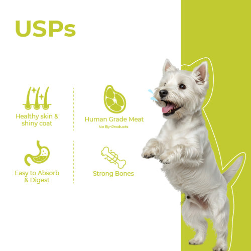 Barkkins Adult Rich & Creamy Broth