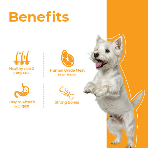 Barkkins Adult Fish & Rice Meal