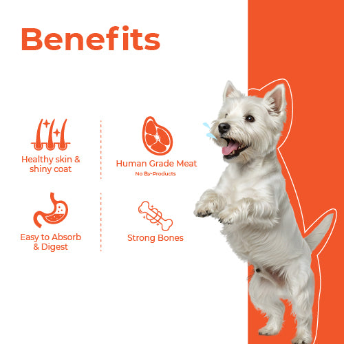 Barkkins Adult Grain Free Chicken Meal