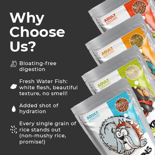 Barkkins Adult Trial Pack