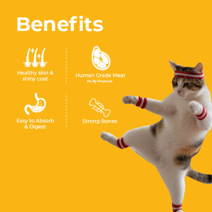 Cat Collection - Trial Pack