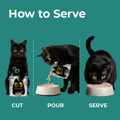 Cat Collection - Trial Pack