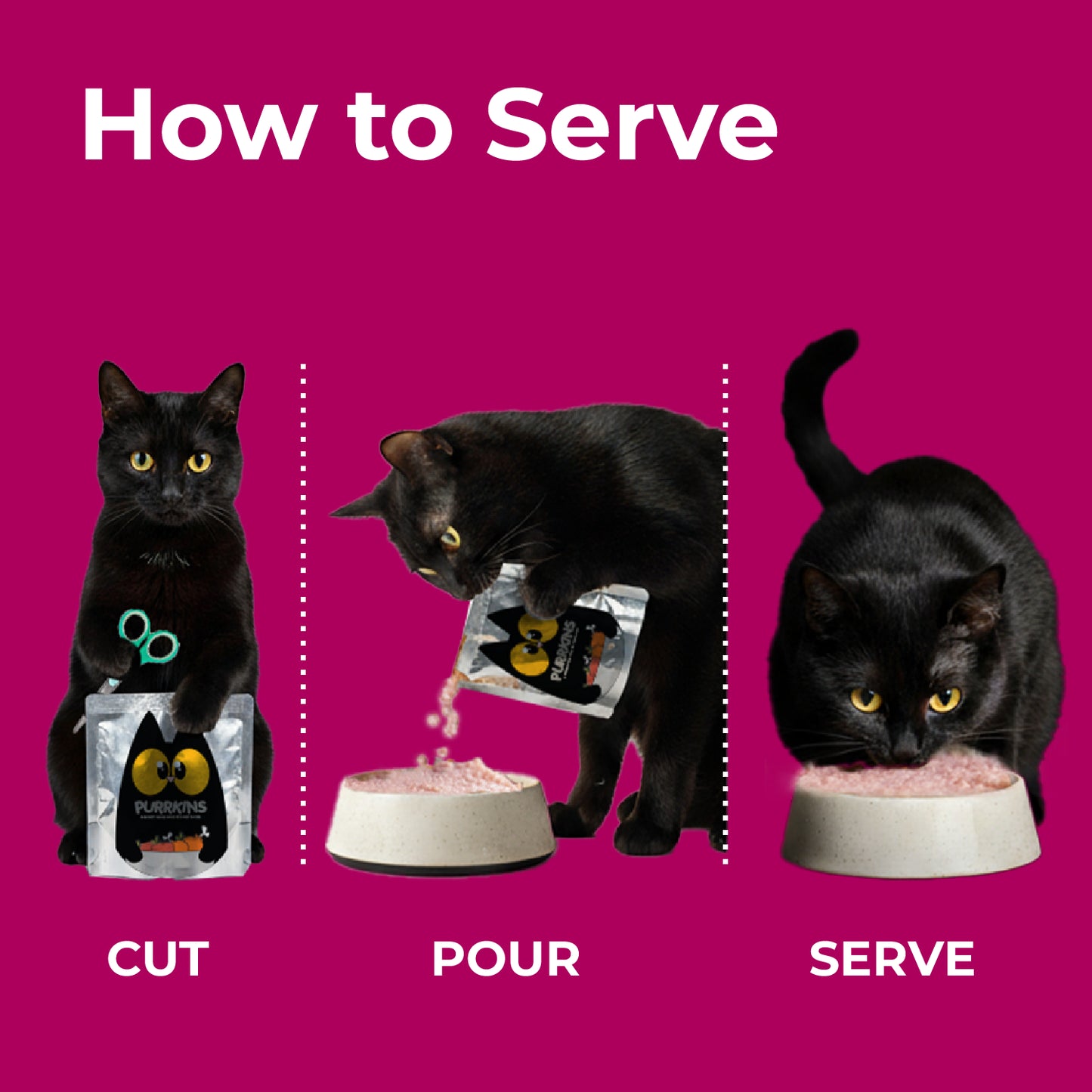 Fish Adult Cat Combo (Pack of 15) + FREE BOWL