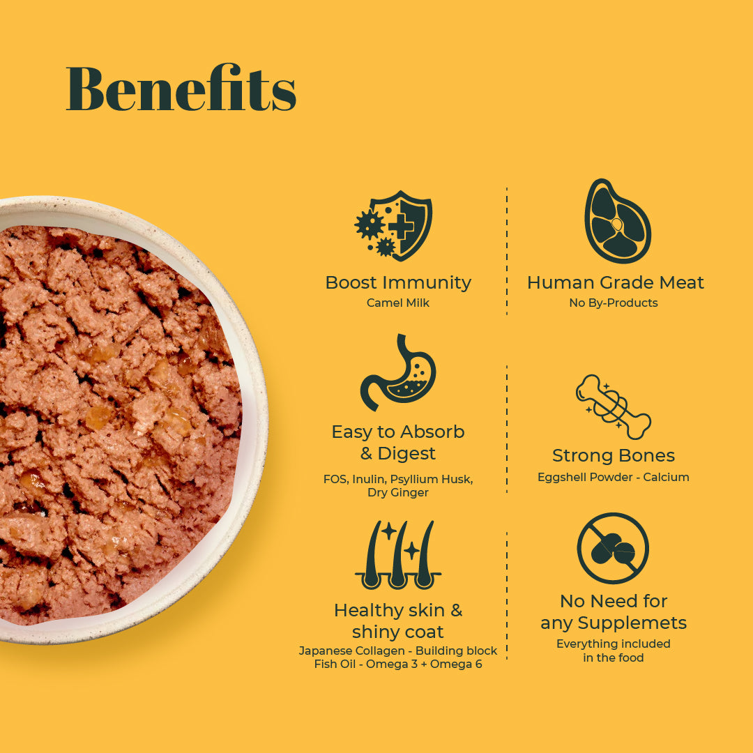 Indiecat Adult Chicken & Liver Royal Pate (80g Packs)