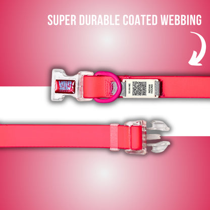 Indian Hound Duratuff Collar (M - Pink)  for Dogs  with QR Tag