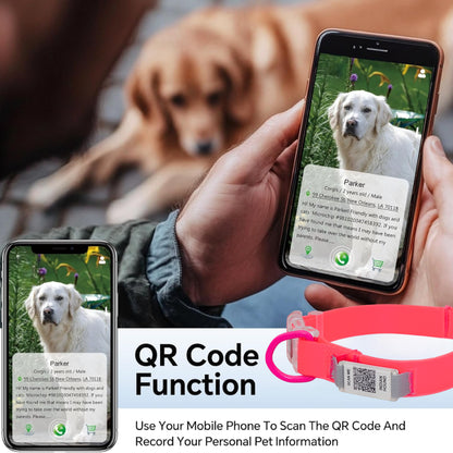 Indian Hound Duratuff Collar (S - Pink)  for Dogs  with QR Tag