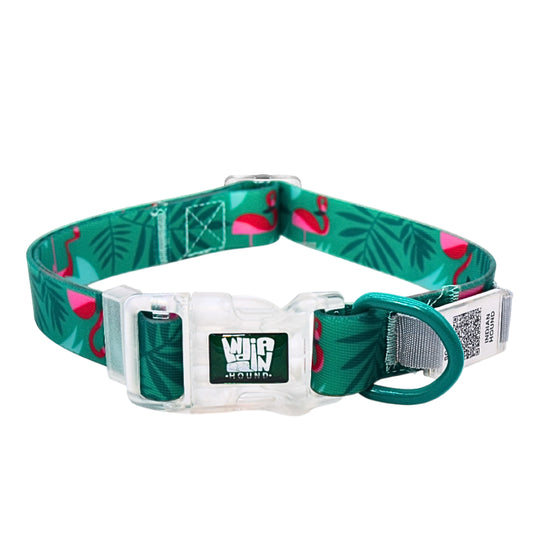 Indian Hound Duratuff Collar (M - Green)  for Dogs  with QR Tag