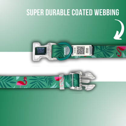 Indian Hound Duratuff Collar (L - Green)  for Dogs  with QR Tag