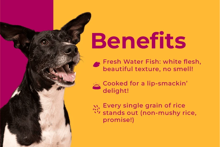 www.petsofparadise.store Pets of Paradise