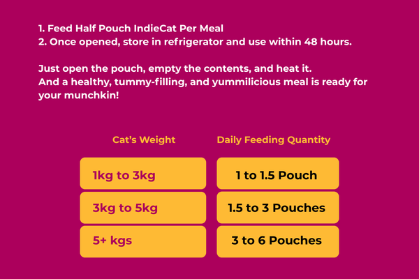 How to Feed