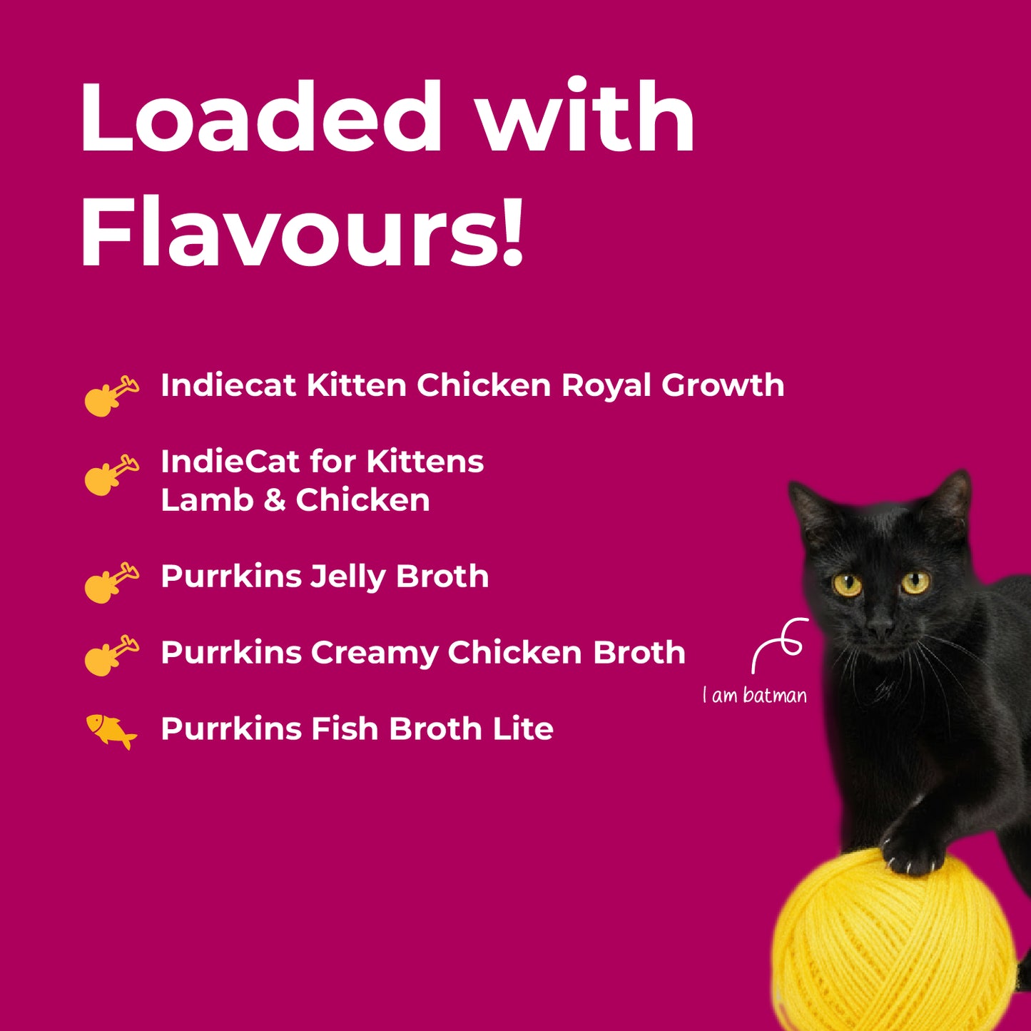Kitten Combo (Pack of 15) + FREE BOWL
