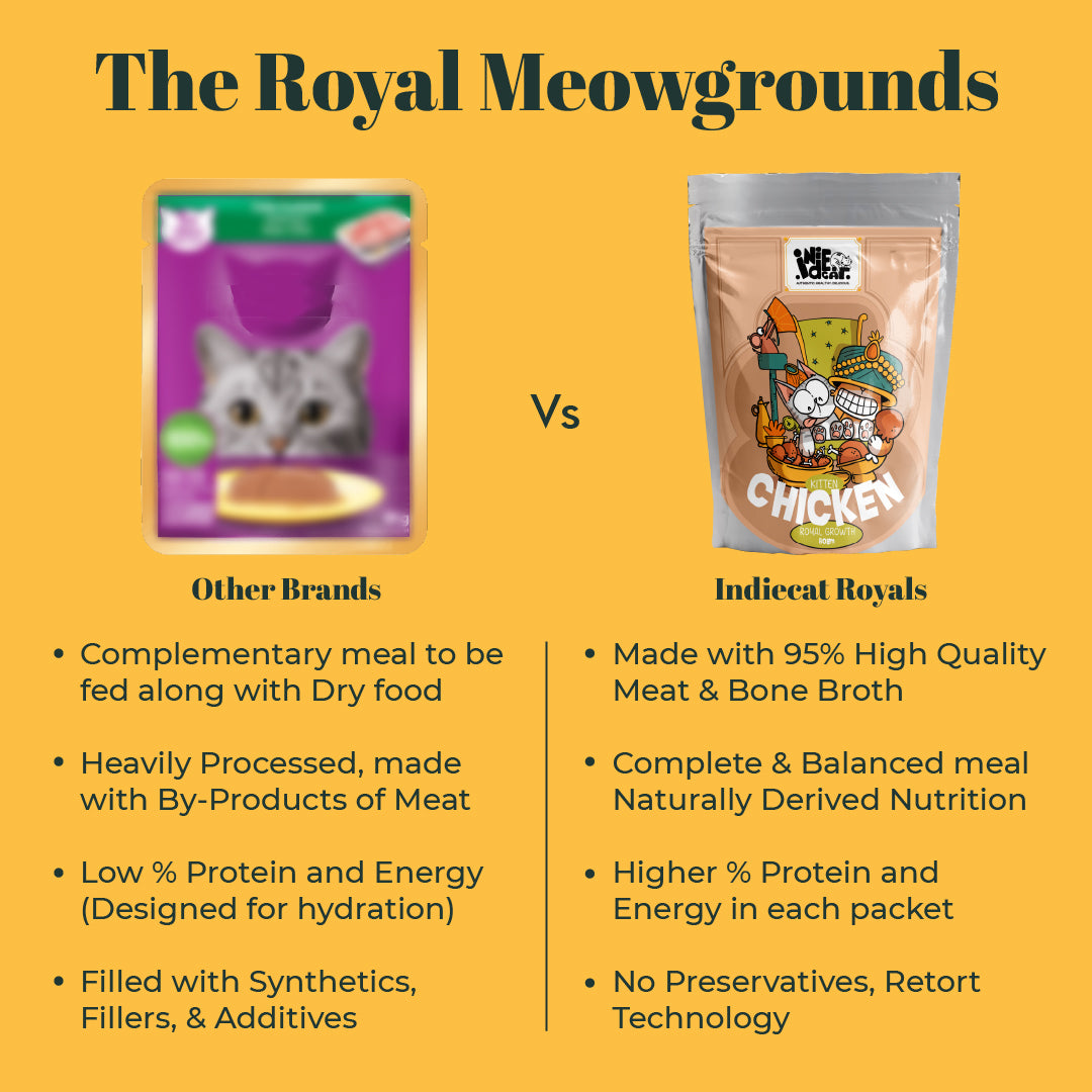 Indiecat Kitten Chicken Royal Growth (80g packs)